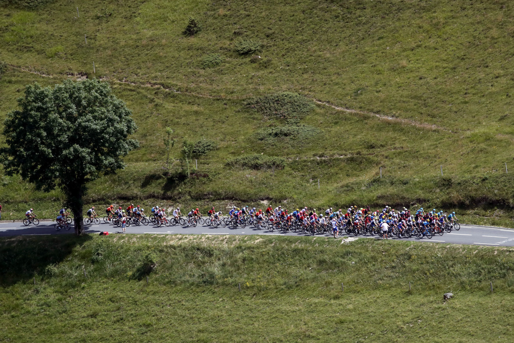 Tour de France
